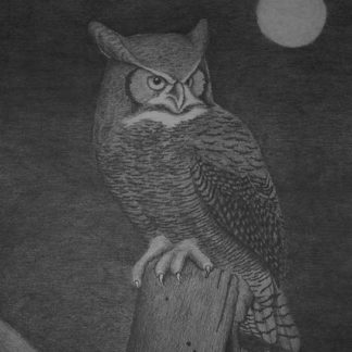 An owl in the moonlight