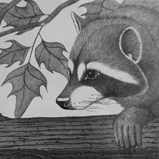A racoon by the water's edge