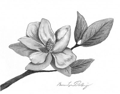 magnolia print