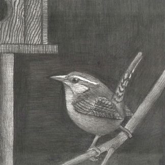 "Anyone Home" print featuring bird looking at birdhouse