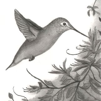 "Cocktail Hour" print featuring hummingbird drinking nectar
