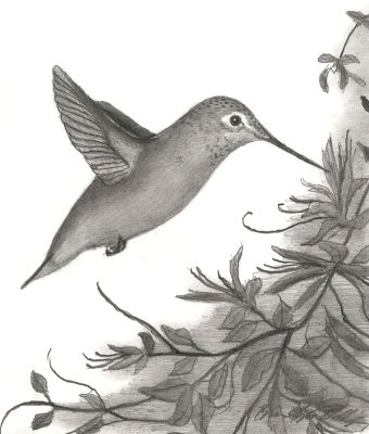 "Cocktail Hour" print featuring hummingbird drinking nectar